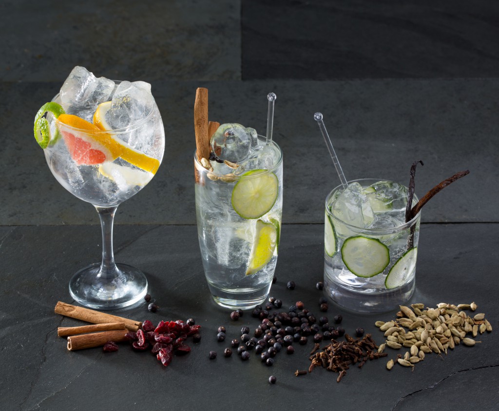 Gin Tonic dans différents verres avec Gin Botanicals.