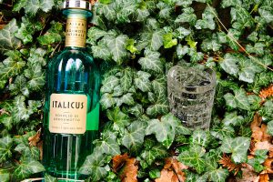 Italicus - Rosolio di Bergamotto in einem Vodka & Soda, garniert mit Oliven, an einem Bett aus Efeu.